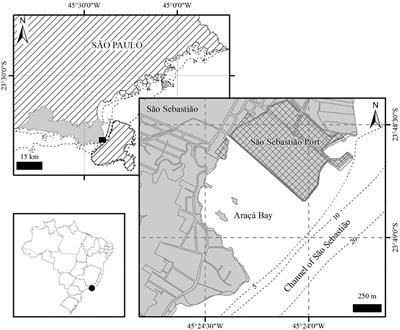 Traditional Ecological Knowledge Supports Ecosystem-Based Management in Disturbed Coastal Marine Social-Ecological Systems